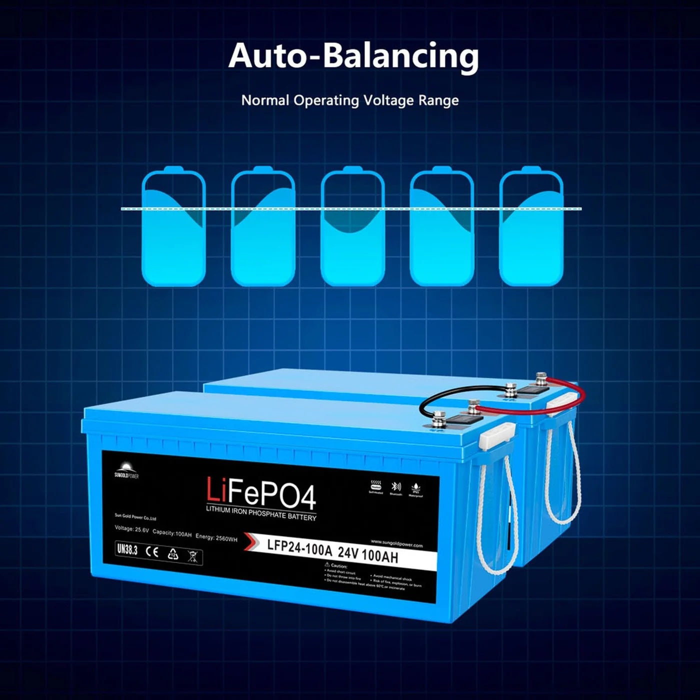 AMG Battery Voltage Chart