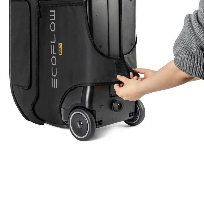 EcoFlow | DELTA Pro Bag image 4