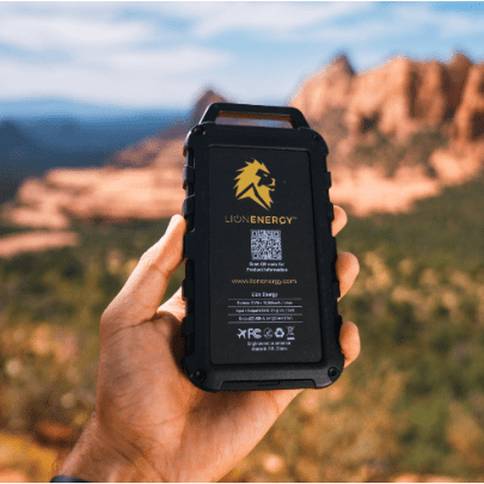 Lion Energy | Lion Cub Power Bank image 4