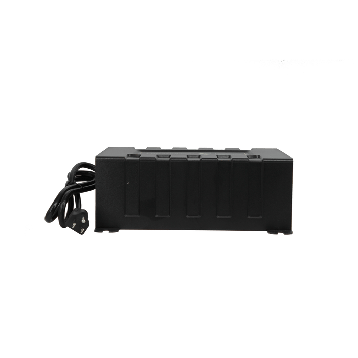 Lion Energy | Savanna BC - 45A Battery Charger Case of 5