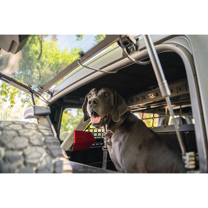 2021-2024 Ford Bronco | Dog Barrier
