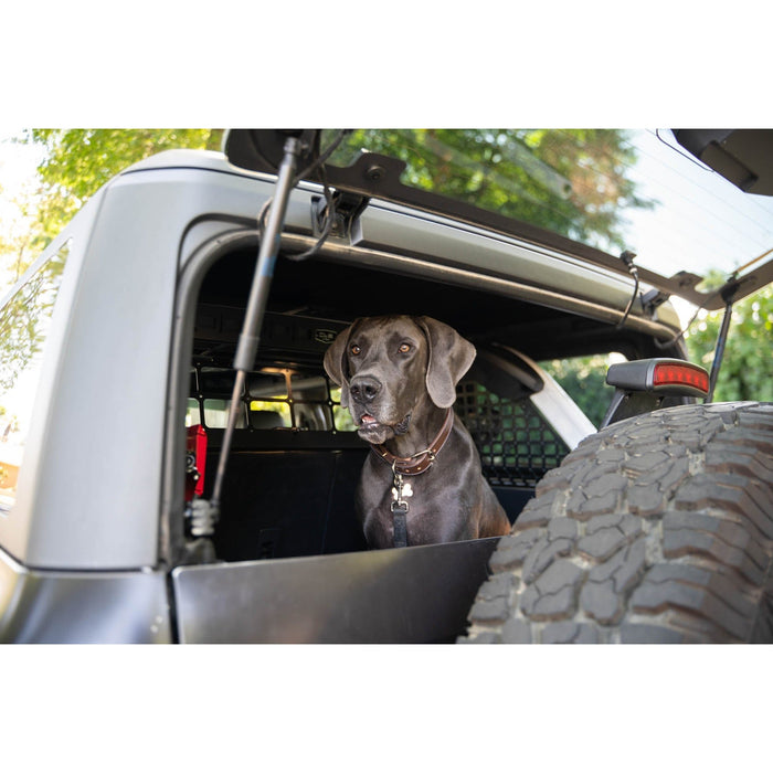 2021-2024 Ford Bronco | Dog Barrier