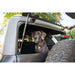 2021-2024 Ford Bronco | Dog Barrier