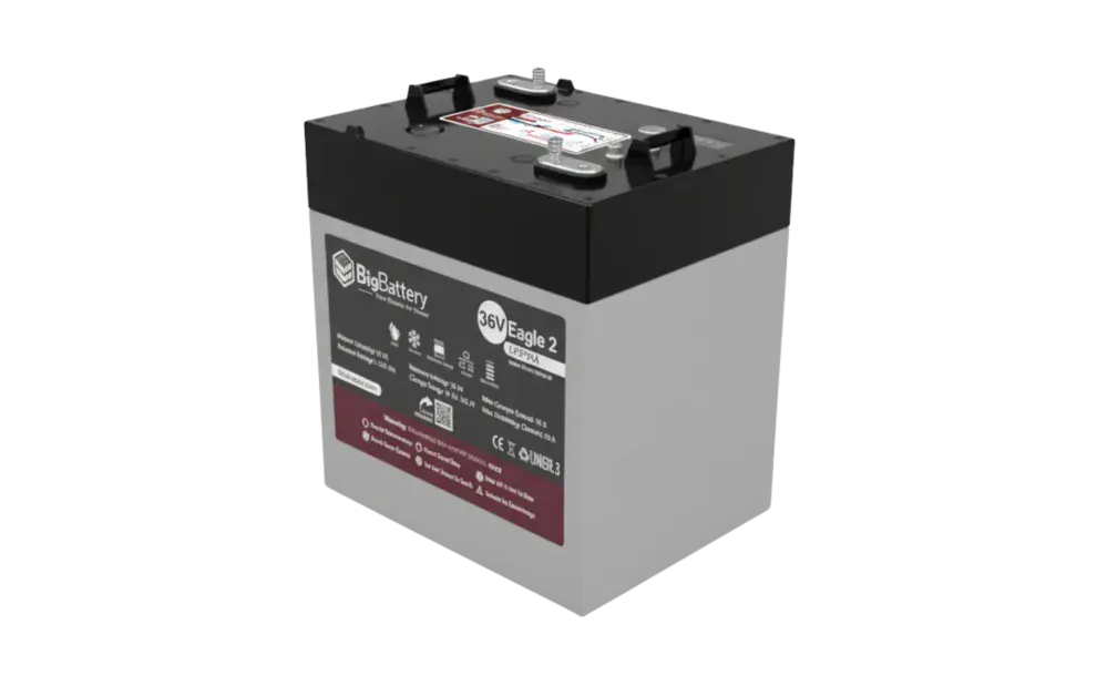 Big Battery | 36V EAGLE 2 LiFePO₄ Battery (1.54kWh) with Heater & CANBus