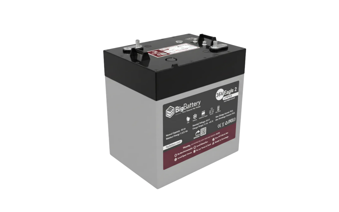 Big Battery | 36V EAGLE 2 LiFePO₄ Battery (1.54kWh) with Heater & CANBus