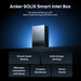 Anker Solix | E10 Smart Inlet Box | Smart Grid & Storm-Guard
