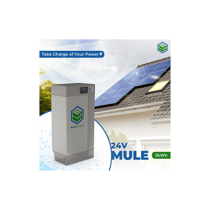 Big Battery | 24V MULE | LiFePO4 – 120Ah – 3kWh