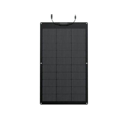 EcoFlow | 100W Flexible Solar Panel