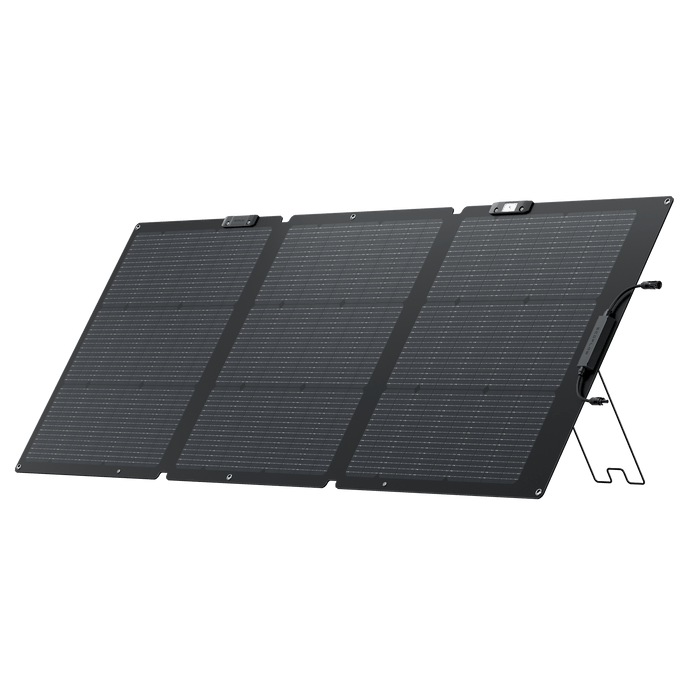 EcoFlow | DELTA 2 + 160W Portable Solar Panel