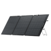 EcoFlow | DELTA 2 + 160W Portable Solar Panel