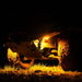 KC HiLiTES | Cyclone V2 LED - Rock Light - 6-Light System - Amber - 5W Flood Beam