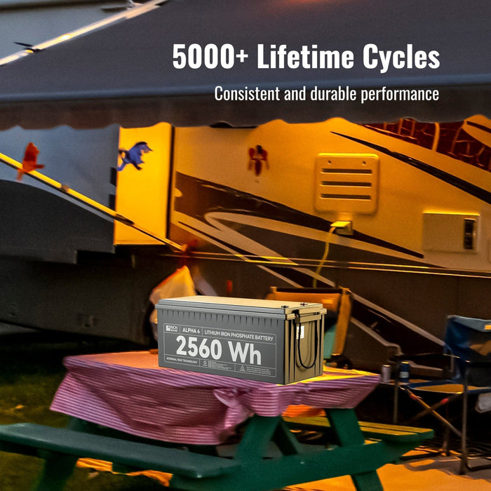 Rich Solar | ALPHA 4 | 24V 100Ah LiFePO4 Battery | Powerful 12V Lithium Battery for RVs, Trailers, Vans, Boats, Off-Grid | 5,000 Lifetime Cycles | Bluetooth and Internal Heat Technology