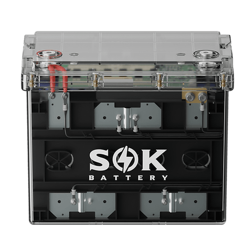SOK Battery | 12V 100Ah LiFePO₄ Battery with Bluetooth, Clear Sealed Box