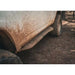 Toyota 5th Gen 4Runner Rock Sliders 2010-2024